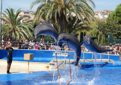 location-appart-antibes-Dauphin_Marineland_Catalogne